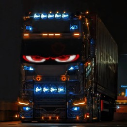 OJO MALVADO PARABRISAS
